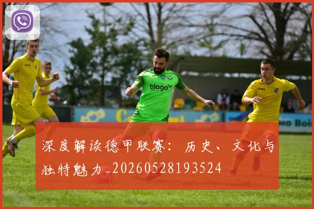 深度解读德甲联赛:历史、文化与独特魅力_20260528193524