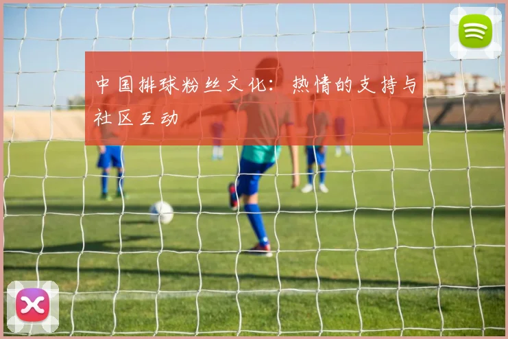 中国排球粉丝文化：热情的支持与社区互动